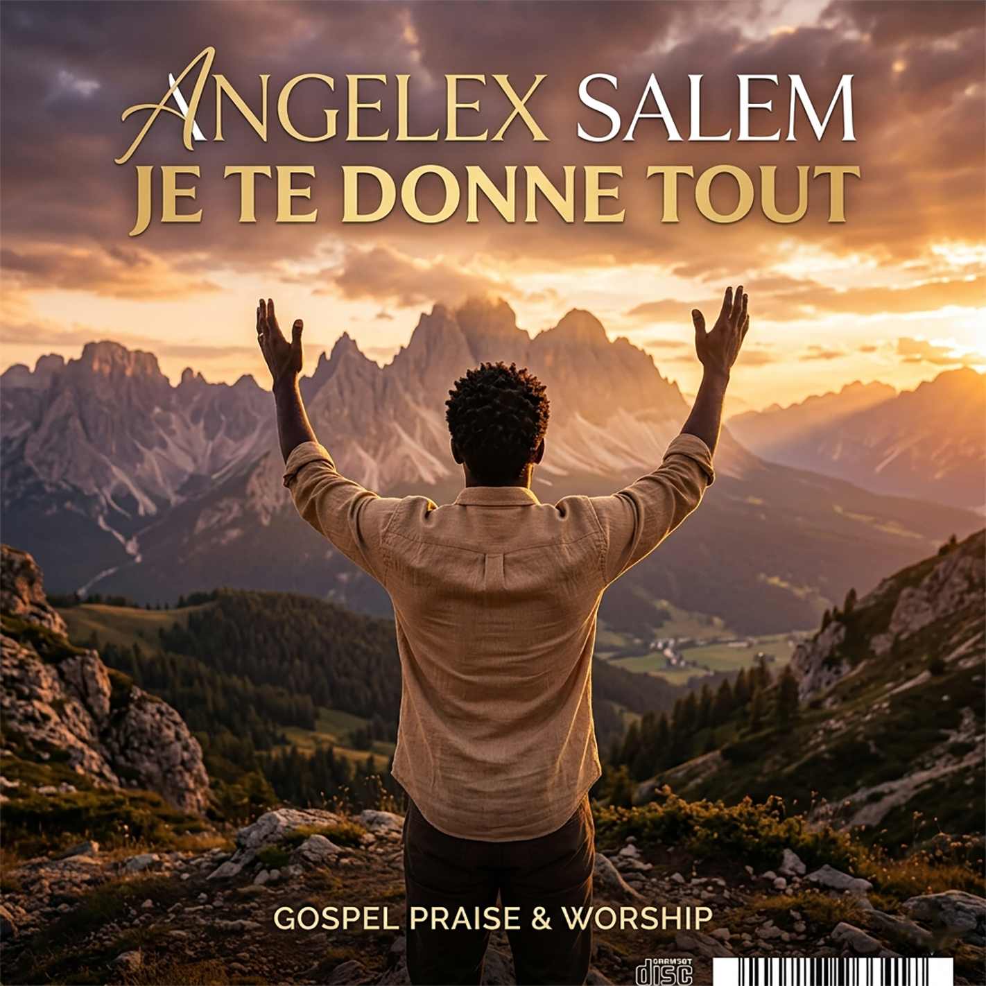 Pochette de Je Te Donne Tout